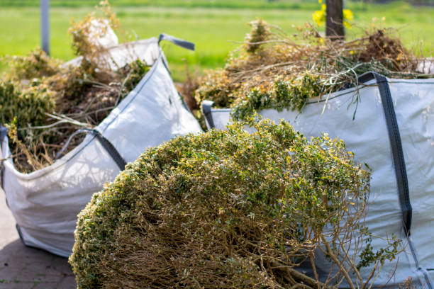 Best Commercial Cleanout Services  in Ashland, KY